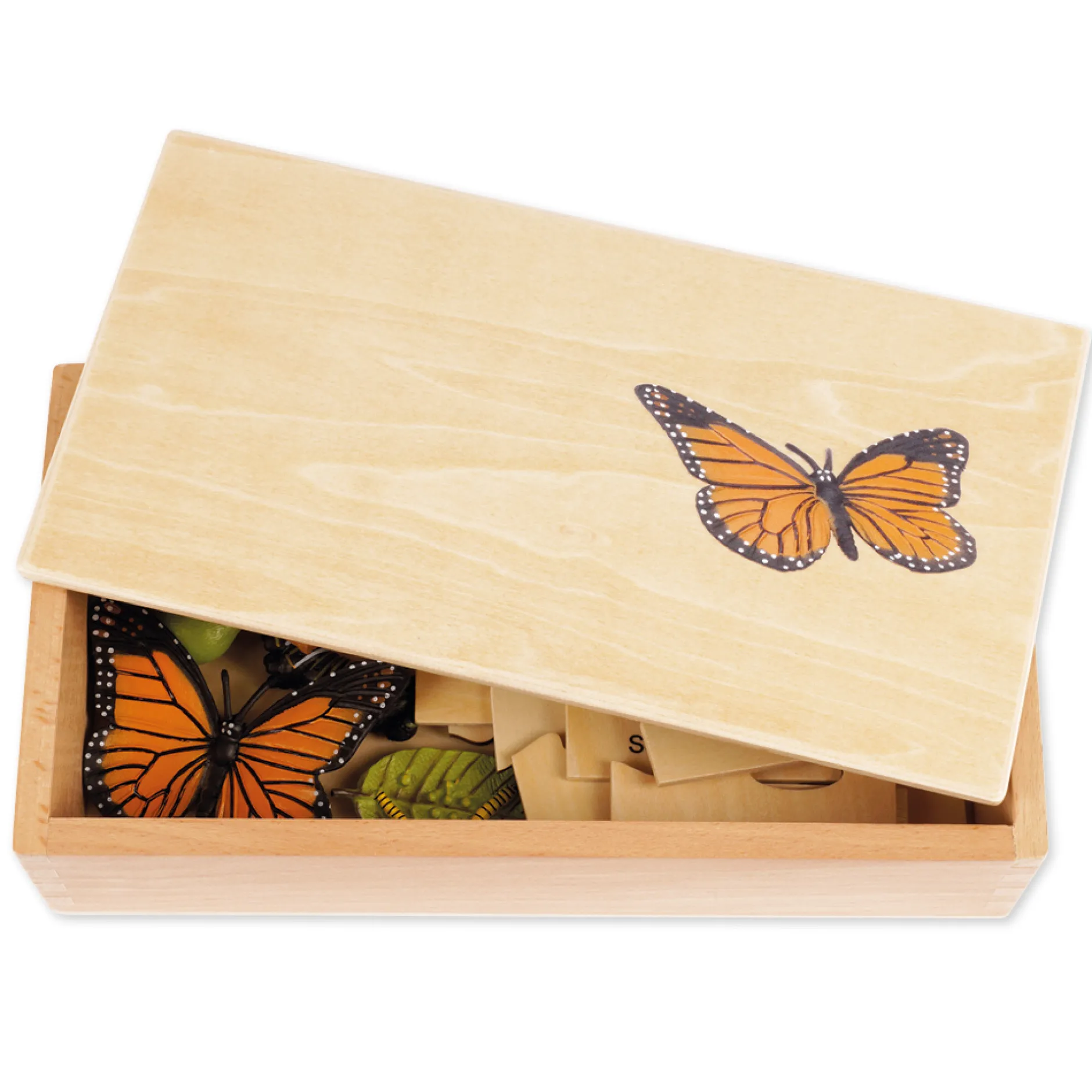 TimeTEX Lebenszyklus eines Schmetterlings, in Holzbox "Montessori Premium"