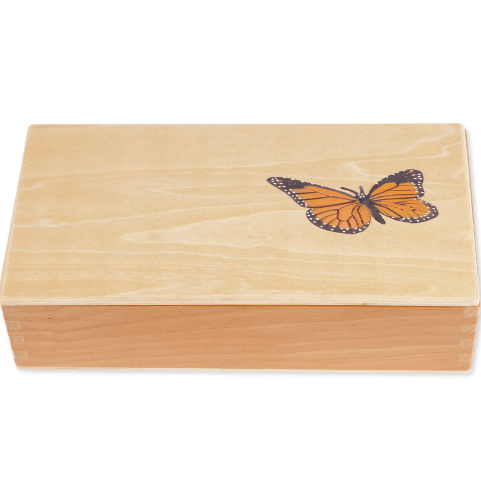 TimeTEX Lebenszyklus eines Schmetterlings, in Holzbox "Montessori Premium"