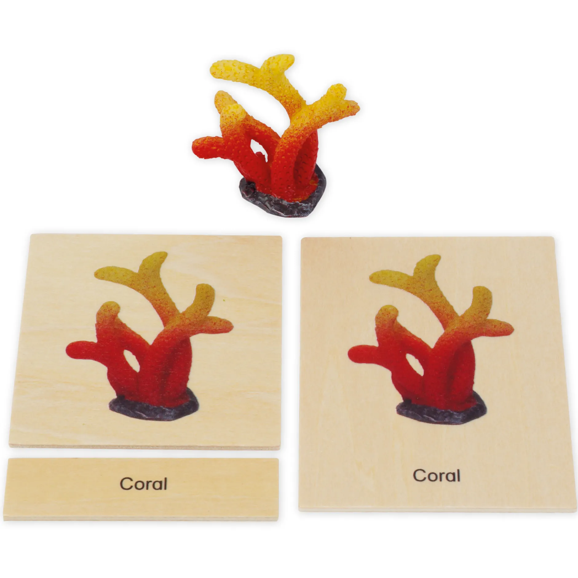 TimeTEX Mini-Meerestiere-Set "Montessori Premium"