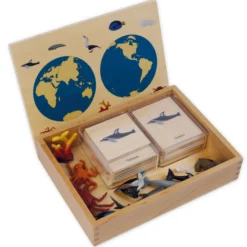 TimeTEX Mini-Meerestiere-Set "Montessori Premium"