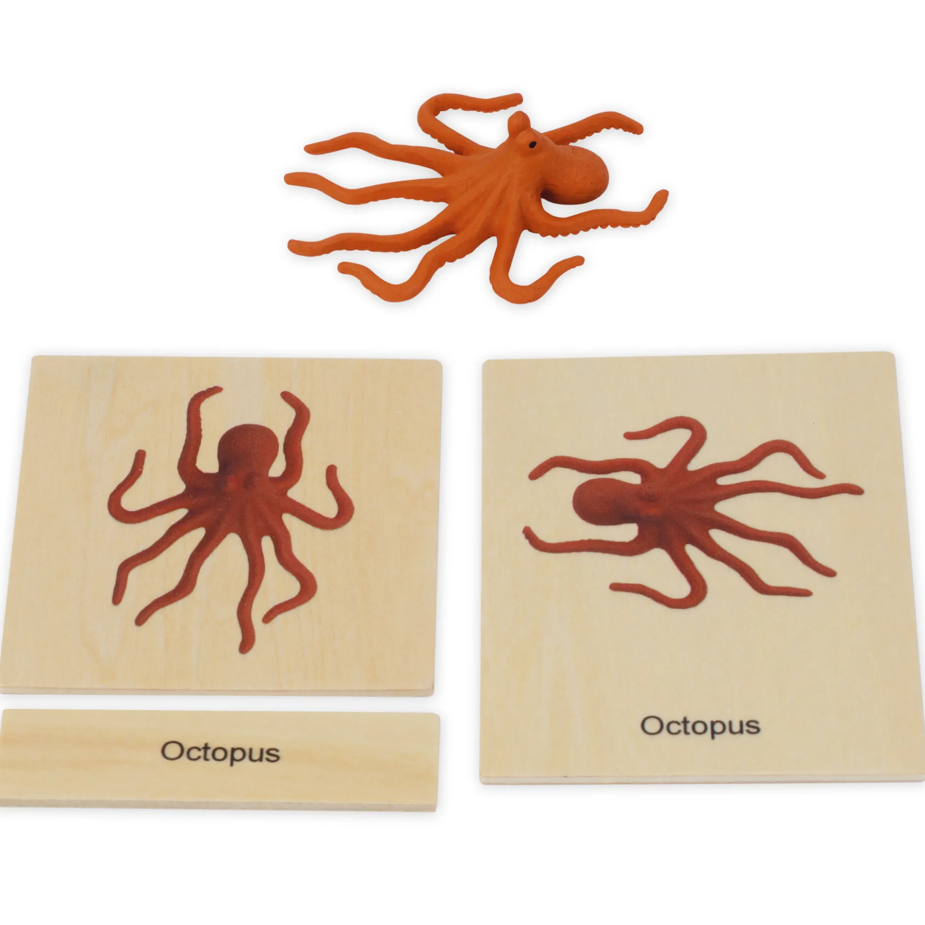 TimeTEX Mini-Meerestiere-Set "Montessori Premium"