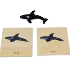 TimeTEX Mini-Polartiere-Set "Montessori Premium"