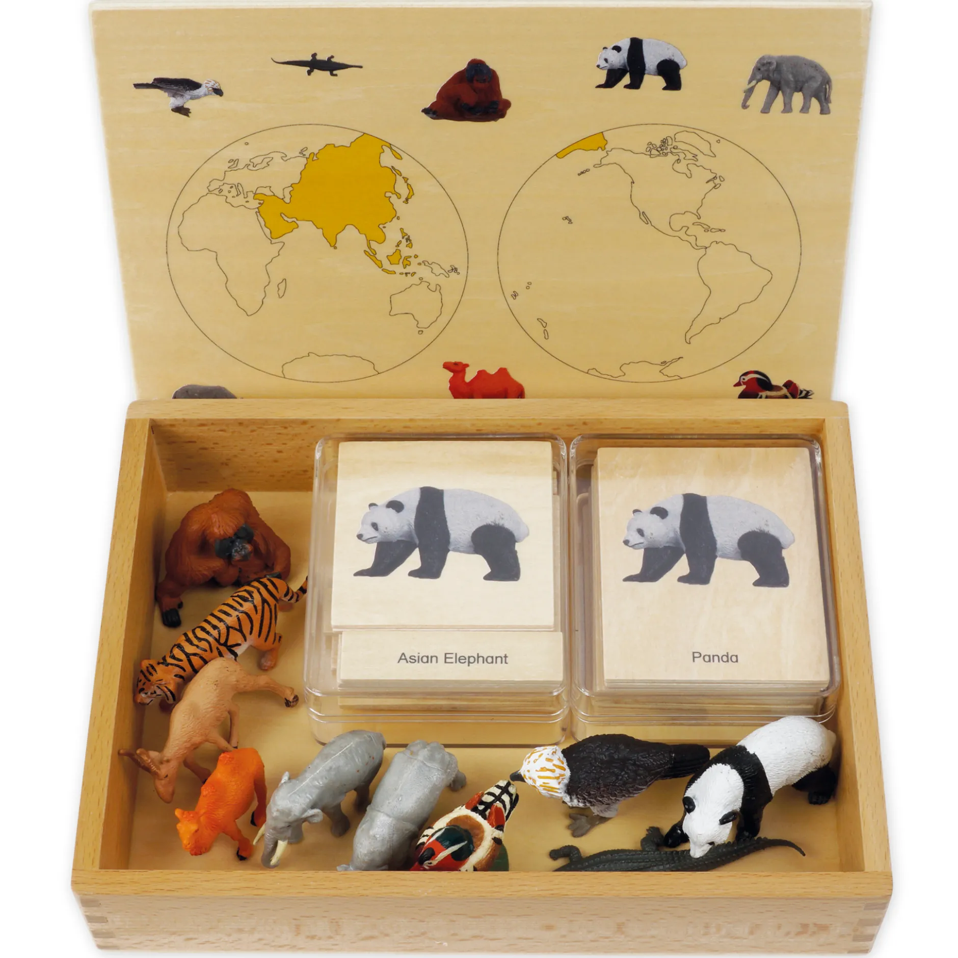 TimeTEX Mini-Tiere-Set Asien "Montessori Premium"