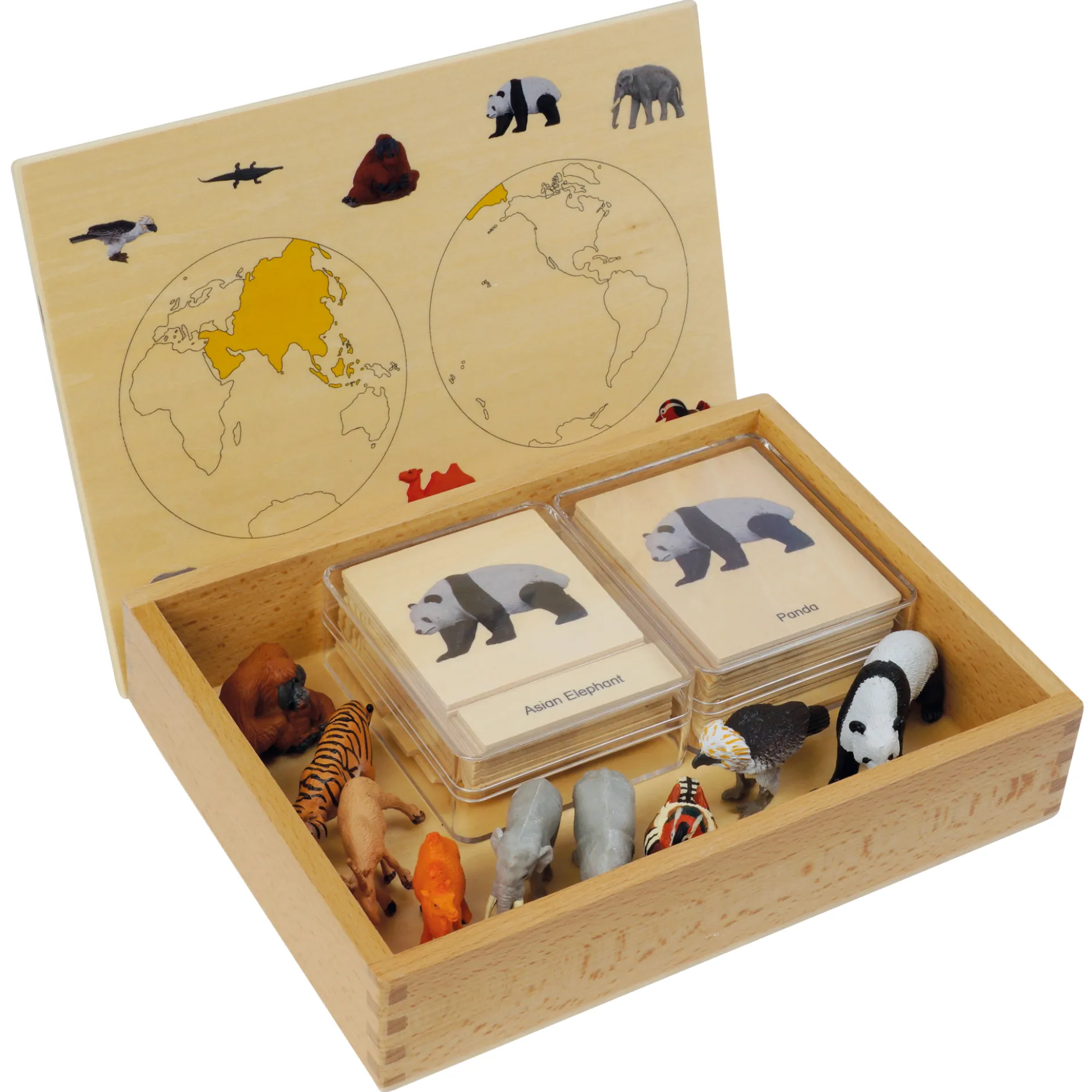 TimeTEX Mini-Tiere-Set Asien "Montessori Premium"