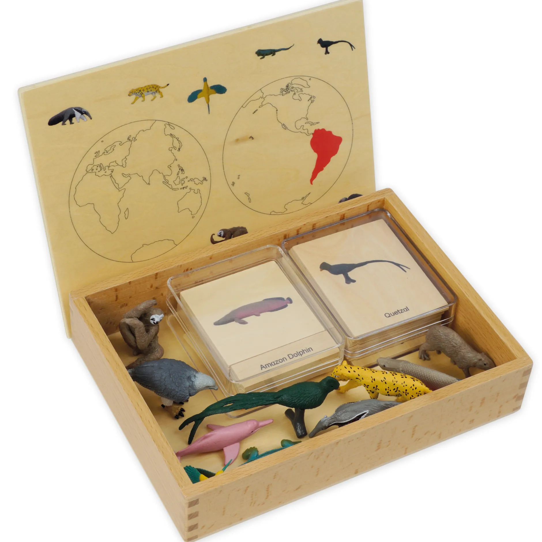 TimeTEX Mini-Tiere-Set Südamerika "Montessori Premium"