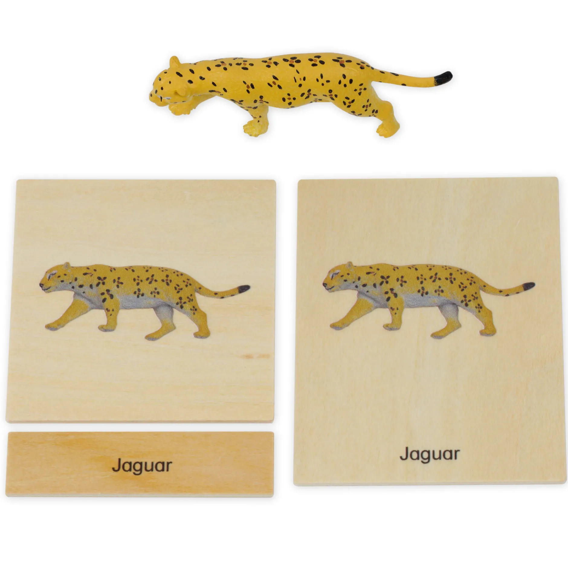 TimeTEX Mini-Tiere-Set Südamerika "Montessori Premium"