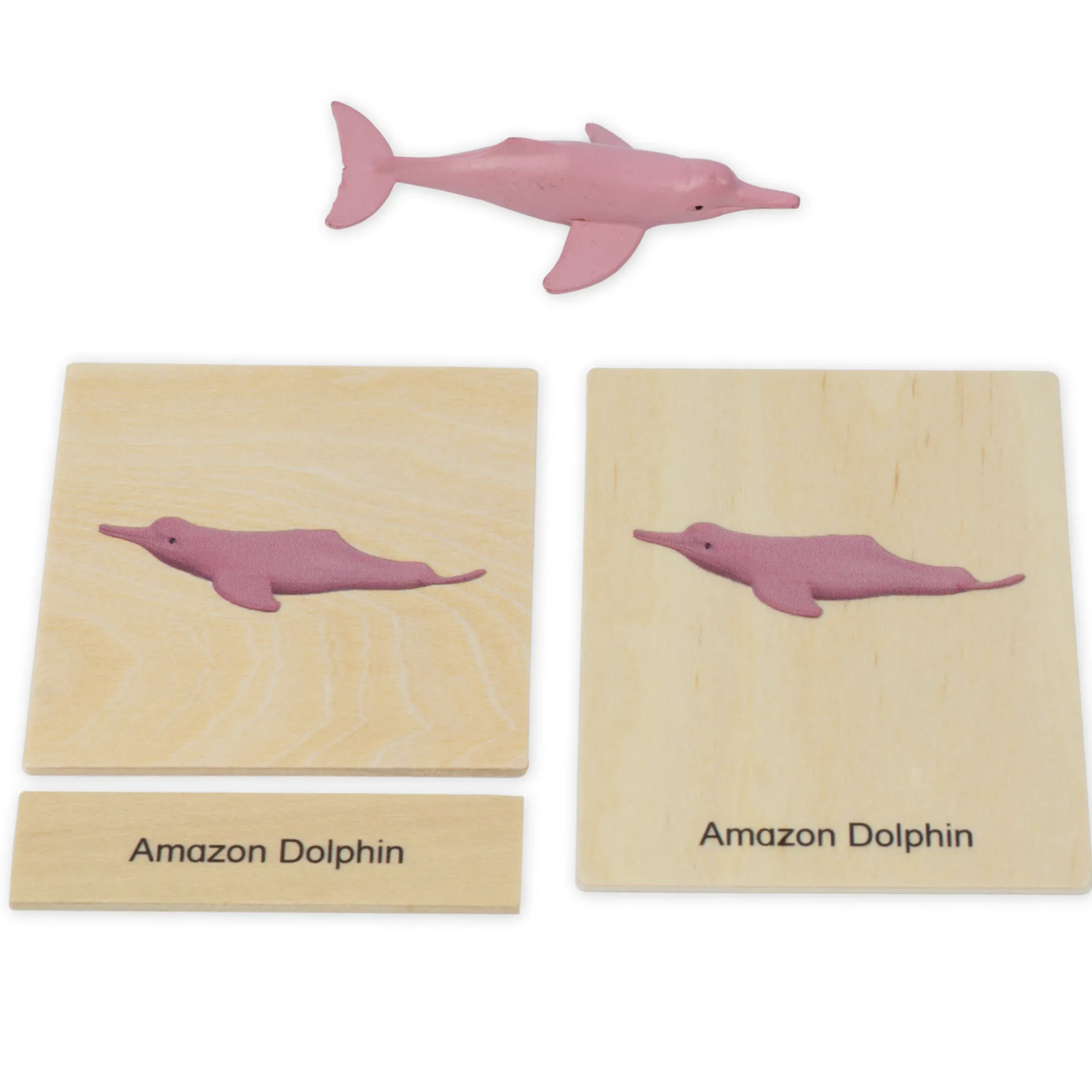 TimeTEX Mini-Tiere-Set Südamerika "Montessori Premium"