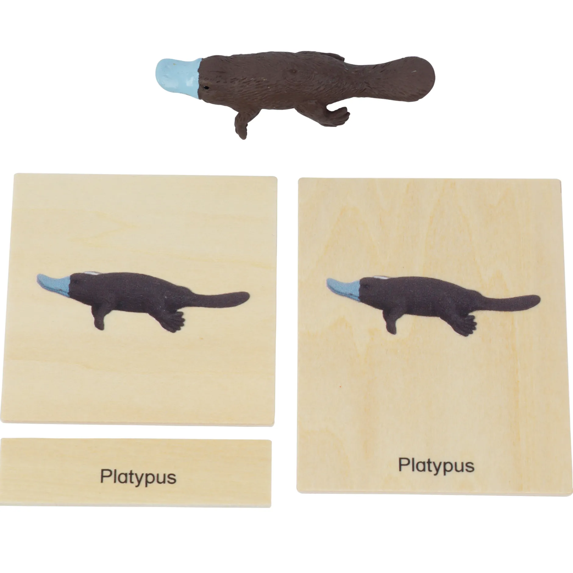 TimeTEX Mini-Tier-Set Australasien "Montessori Premium"