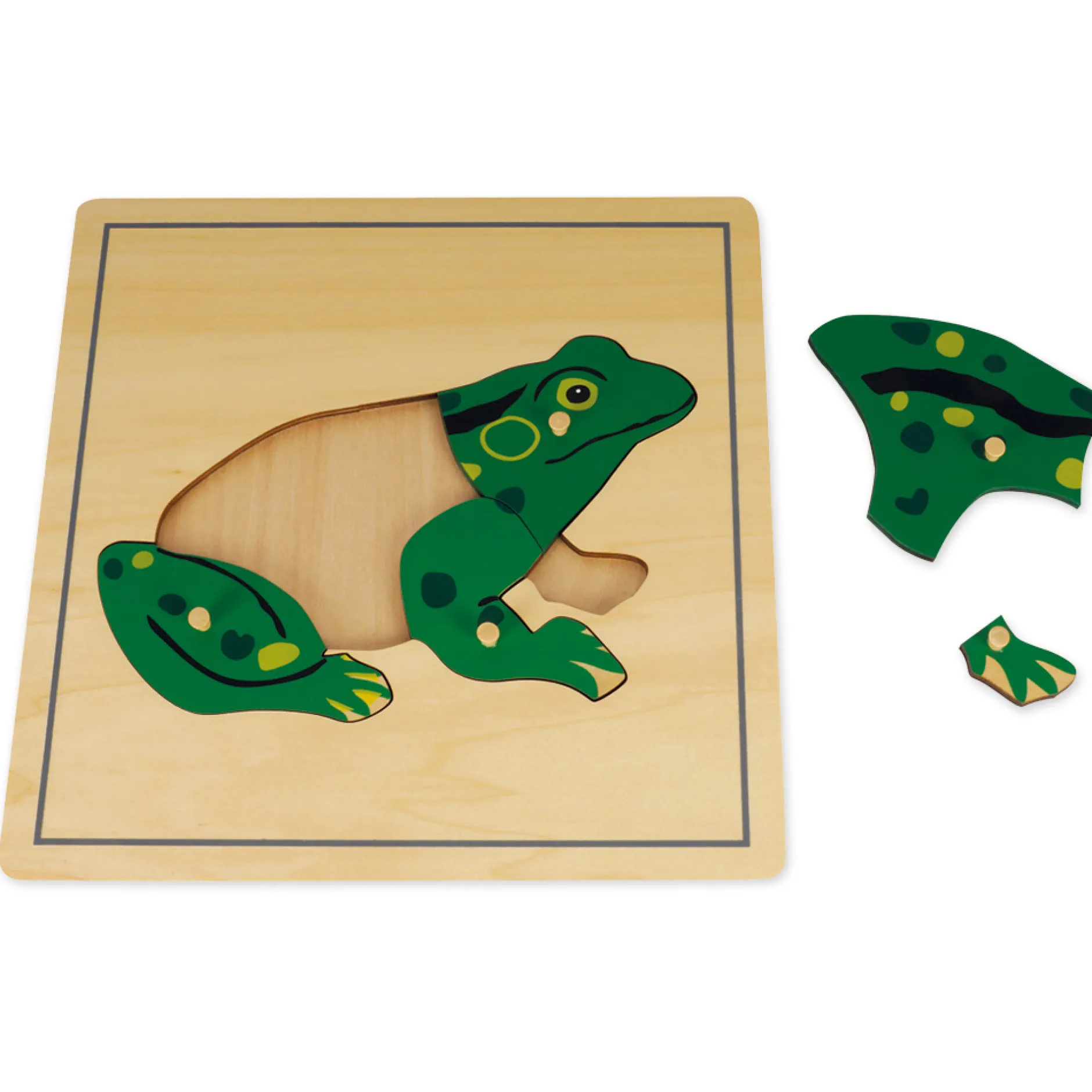 TimeTEX Puzzle Frosch "Montessori Premium"