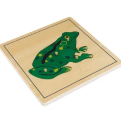 TimeTEX Puzzle Frosch