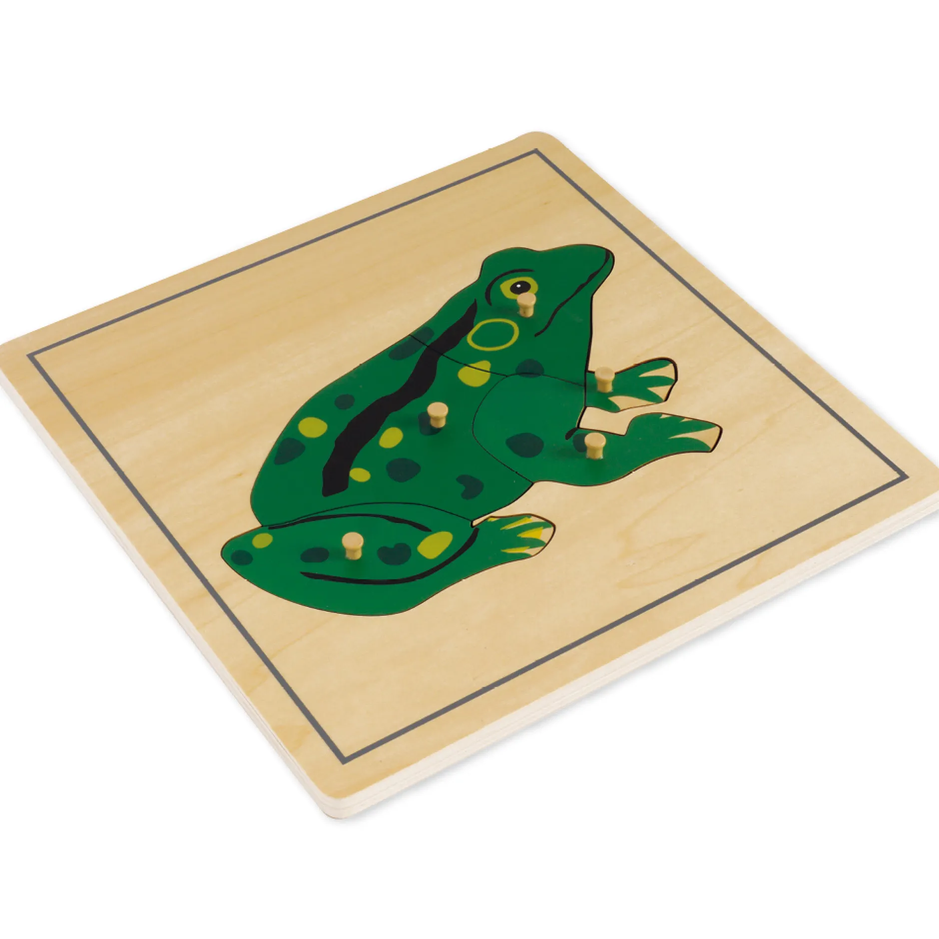 TimeTEX Puzzle Frosch "Montessori Premium"