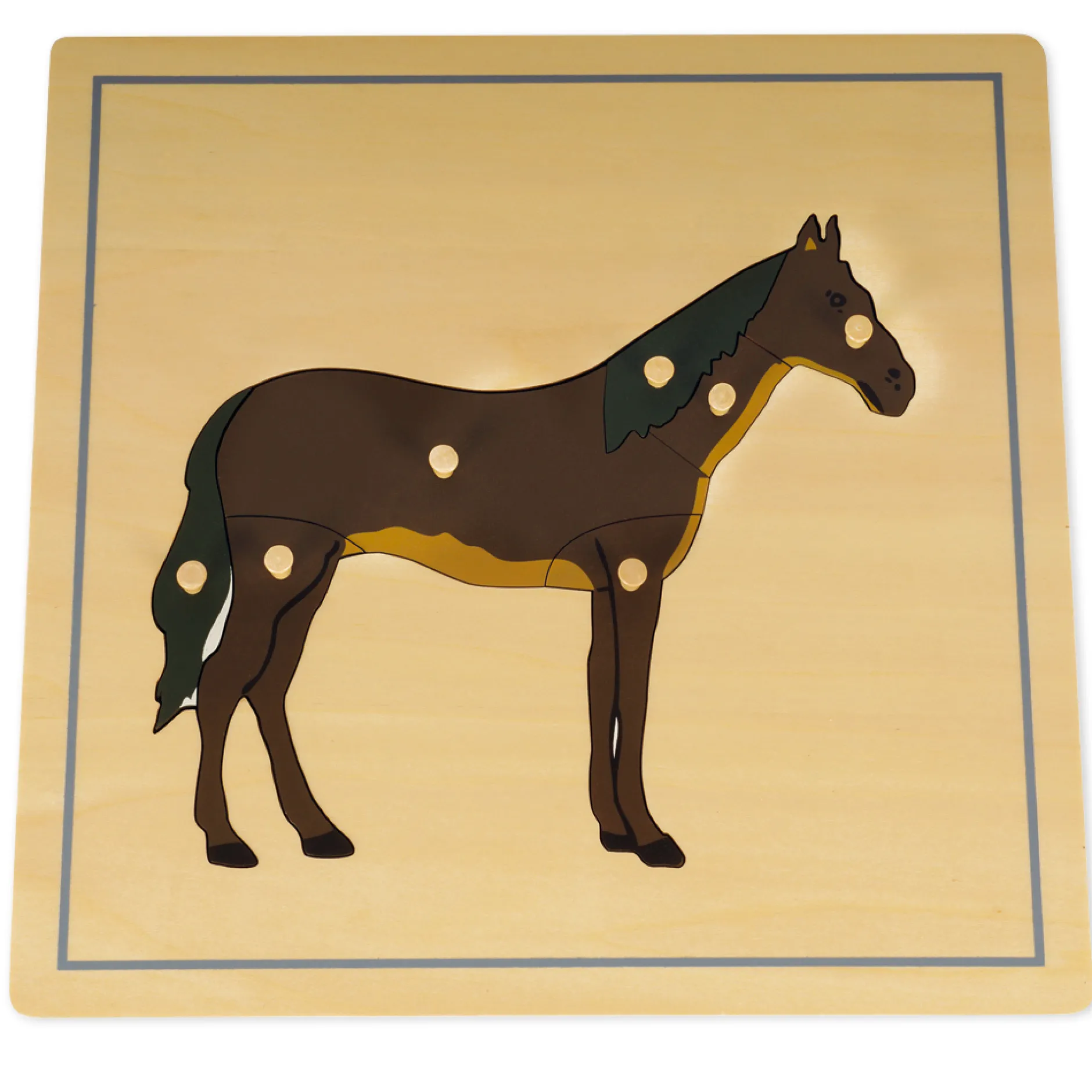 TimeTEX Puzzle Pferd "Montessori Premium"