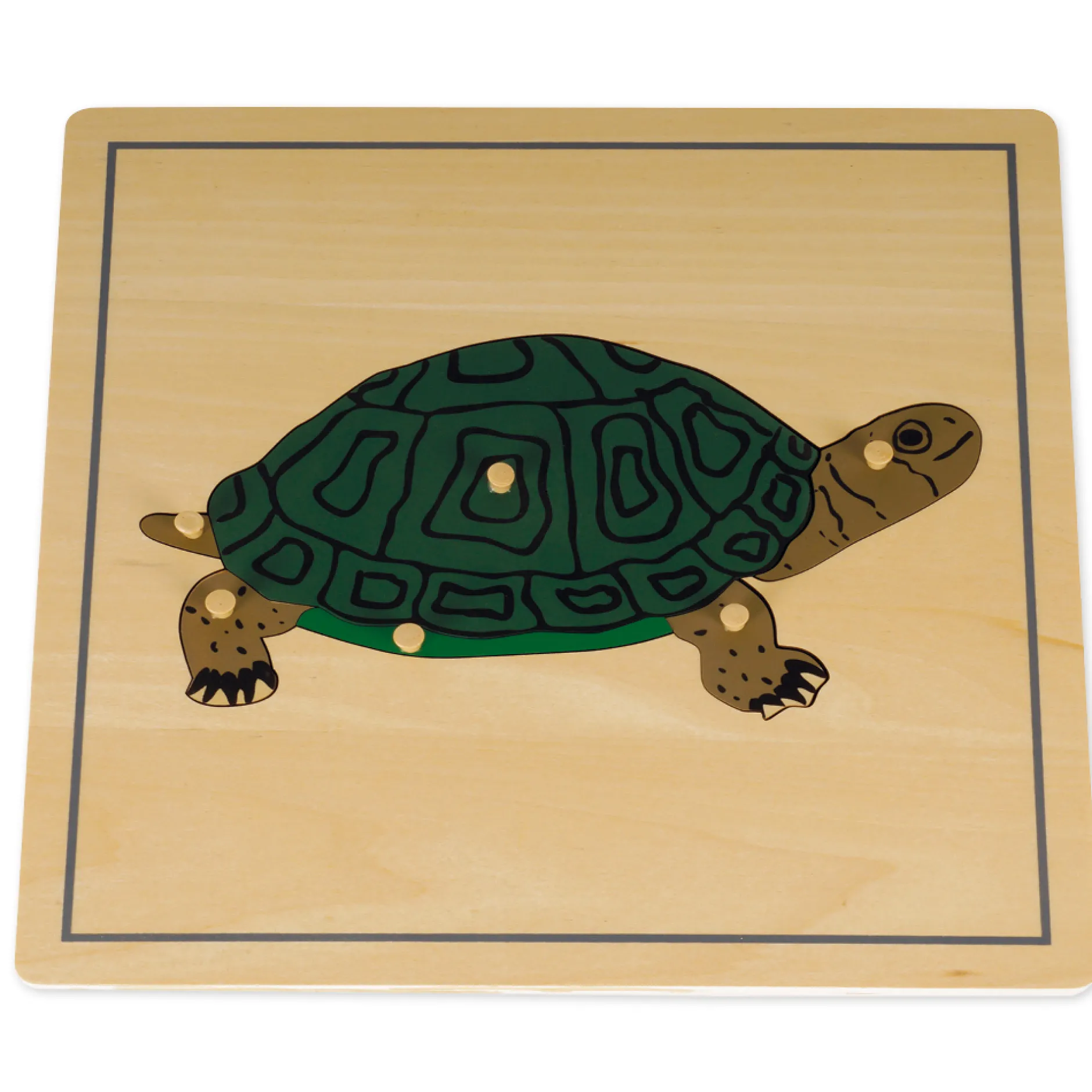 TimeTEX Puzzle Schildkröte "Montessori Premium"