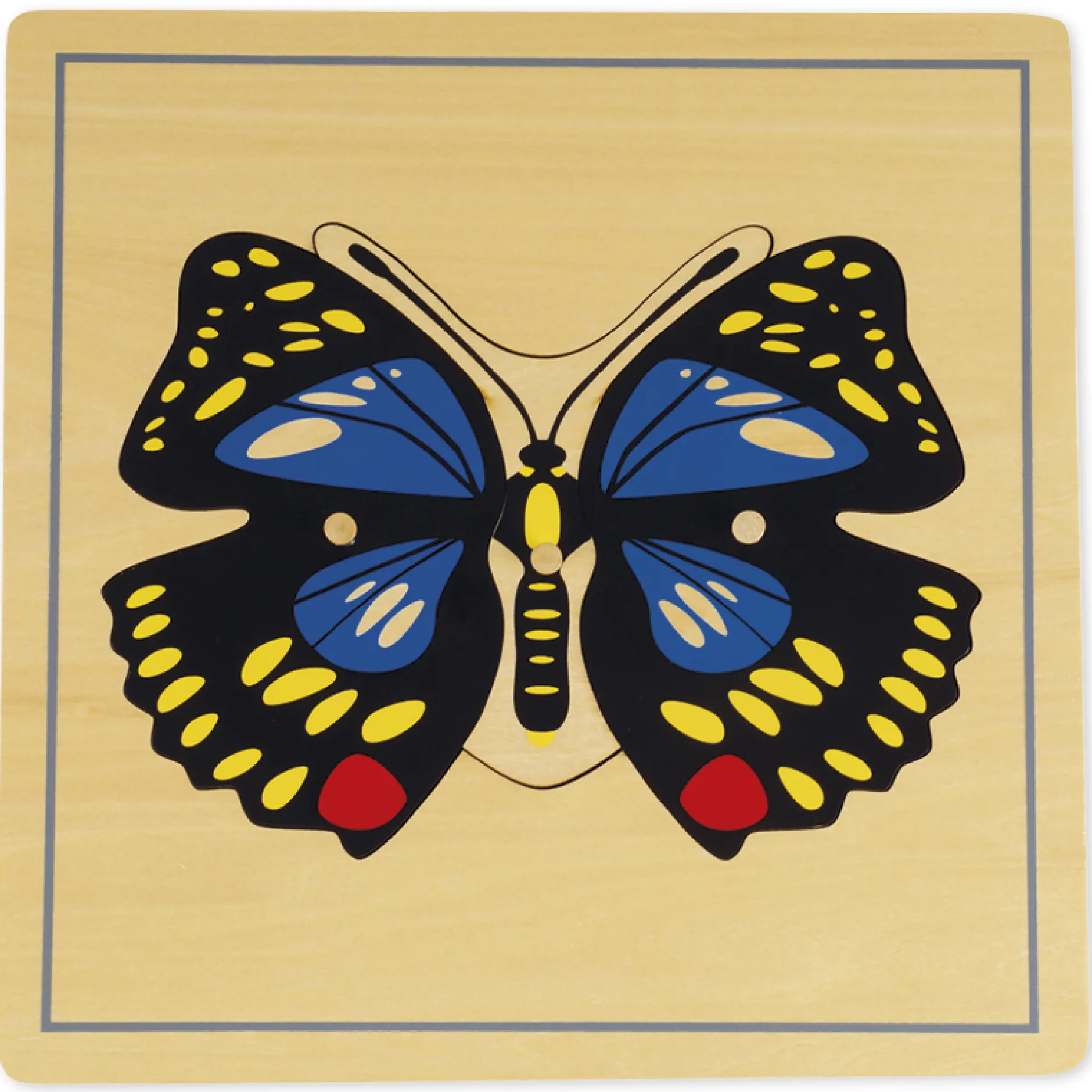 TimeTEX Puzzle Schmetterling "Montessori Premium"