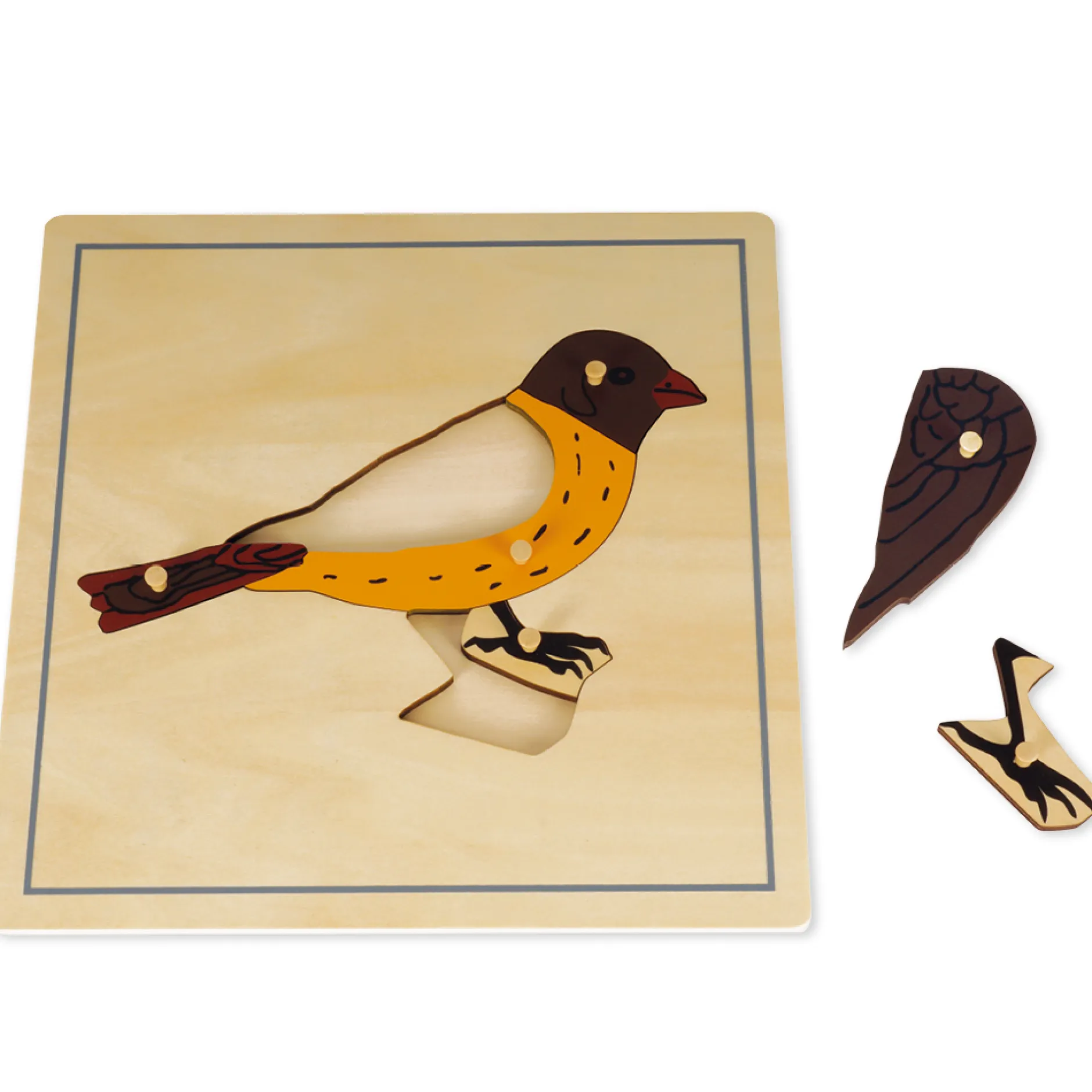 TimeTEX Puzzle Vogel "Montessori Premium"