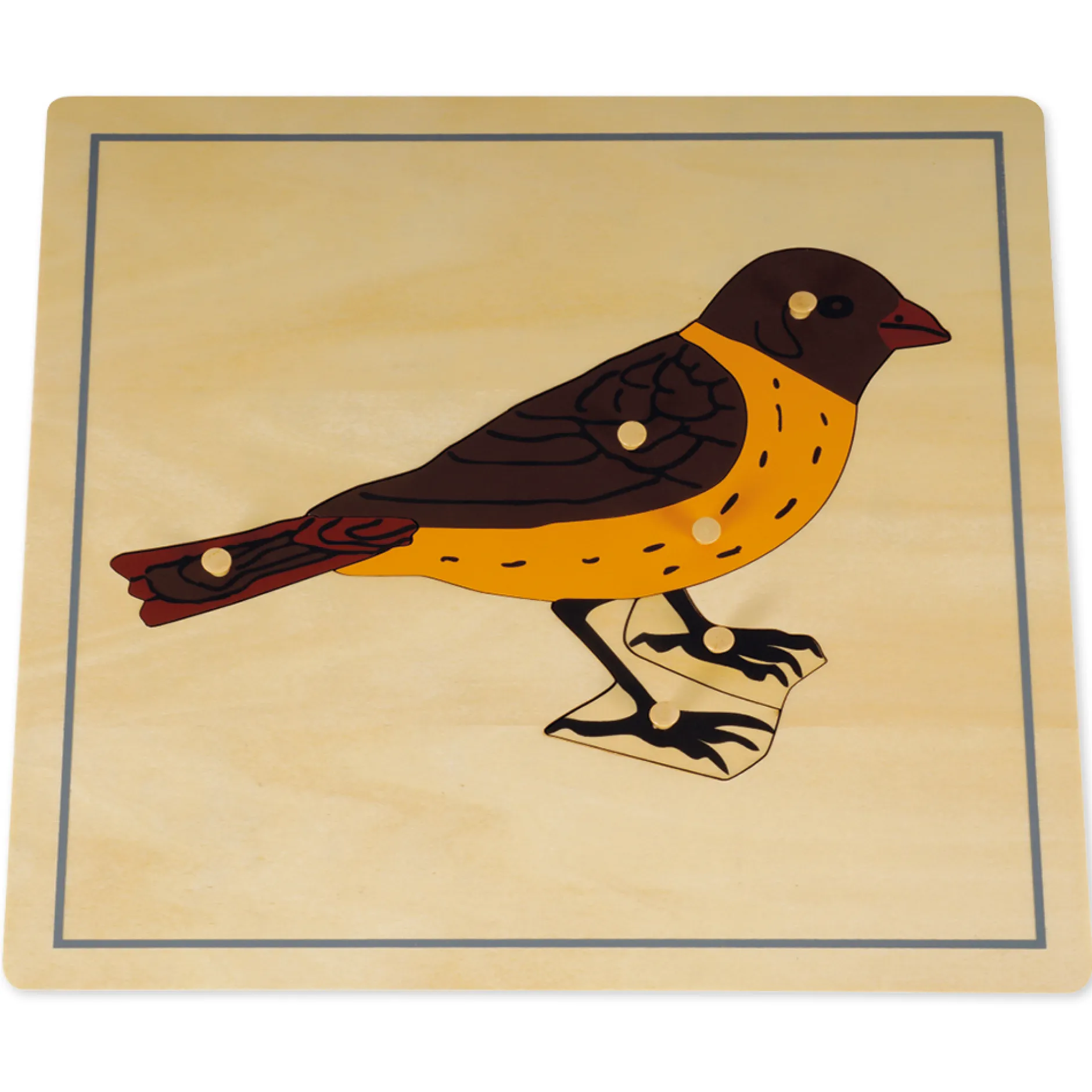 TimeTEX Puzzle Vogel "Montessori Premium"