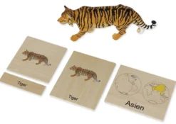 TimeTEX Tier-Kontinent-Box "Montessori Premium"