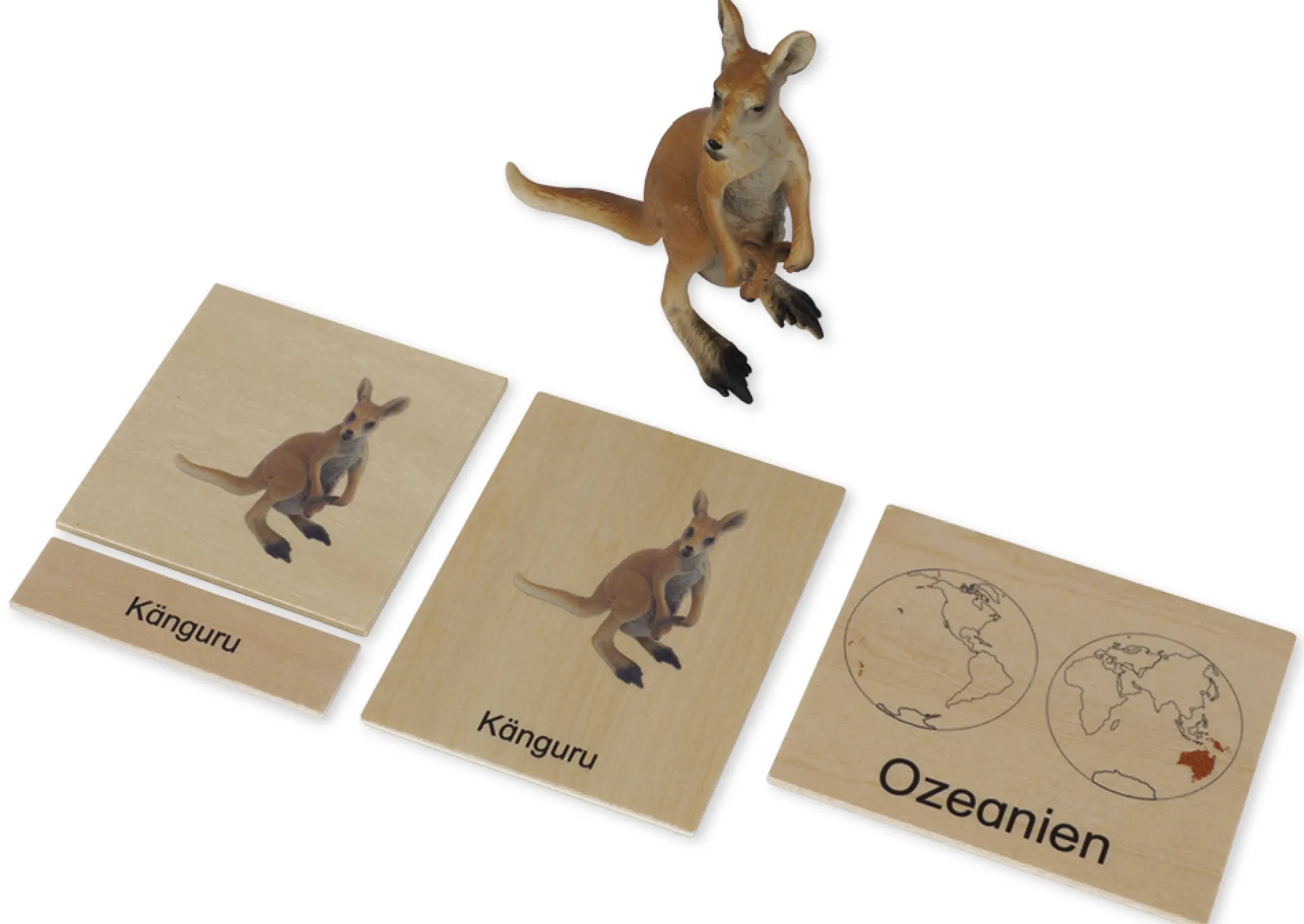 TimeTEX Tier-Kontinent-Box "Montessori Premium"