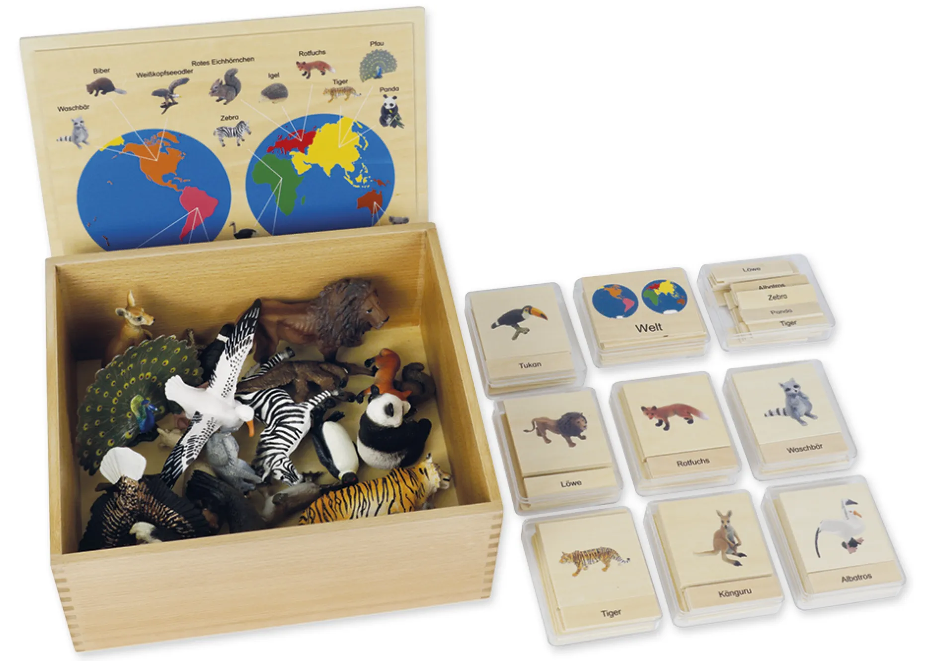 TimeTEX Tier-Kontinent-Box "Montessori Premium"