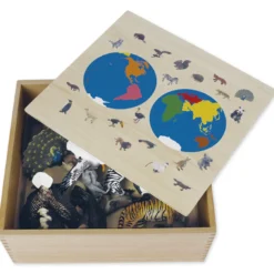 TimeTEX Tier-Kontinent-Box