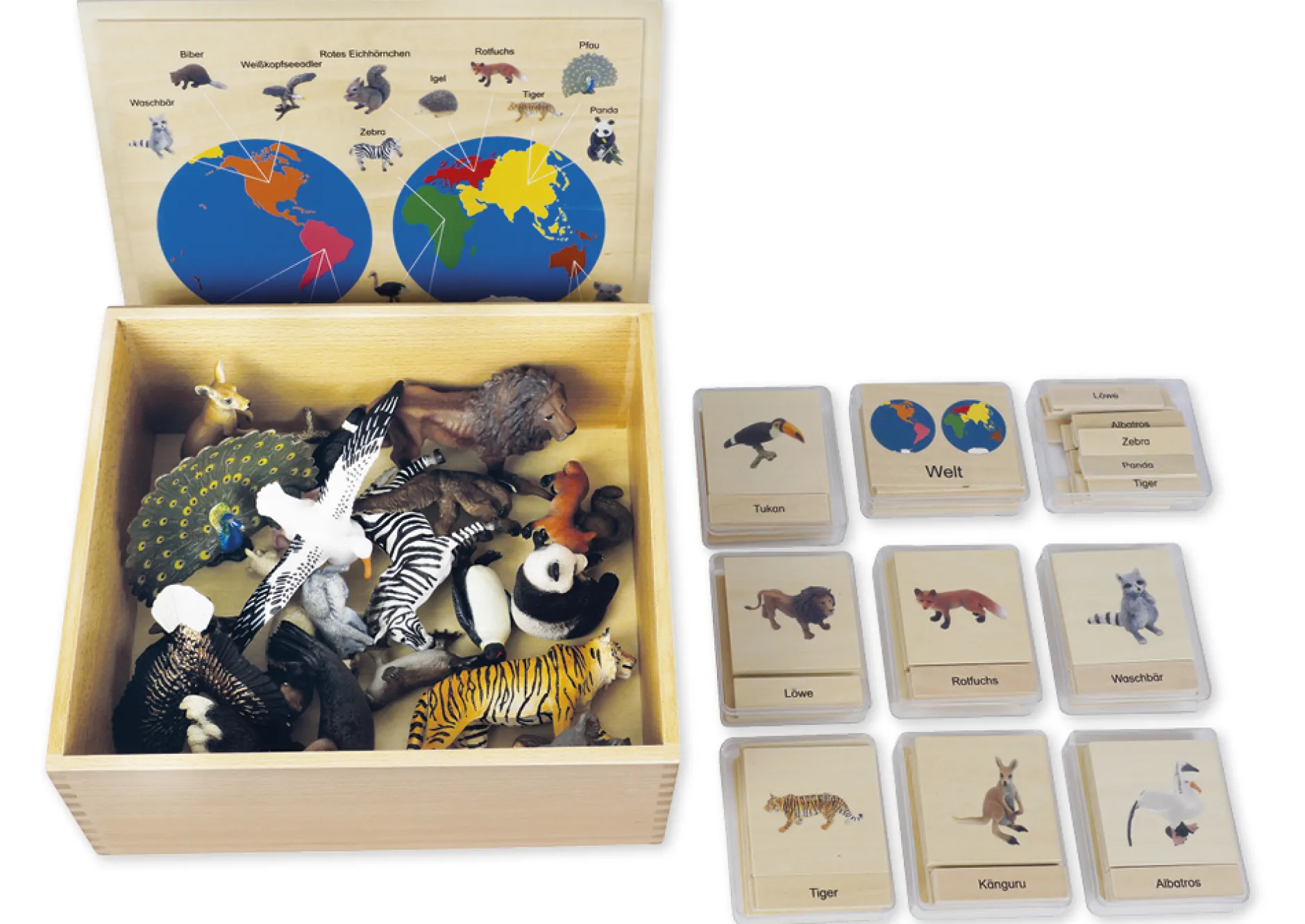 TimeTEX Tier-Kontinent-Box "Montessori Premium"