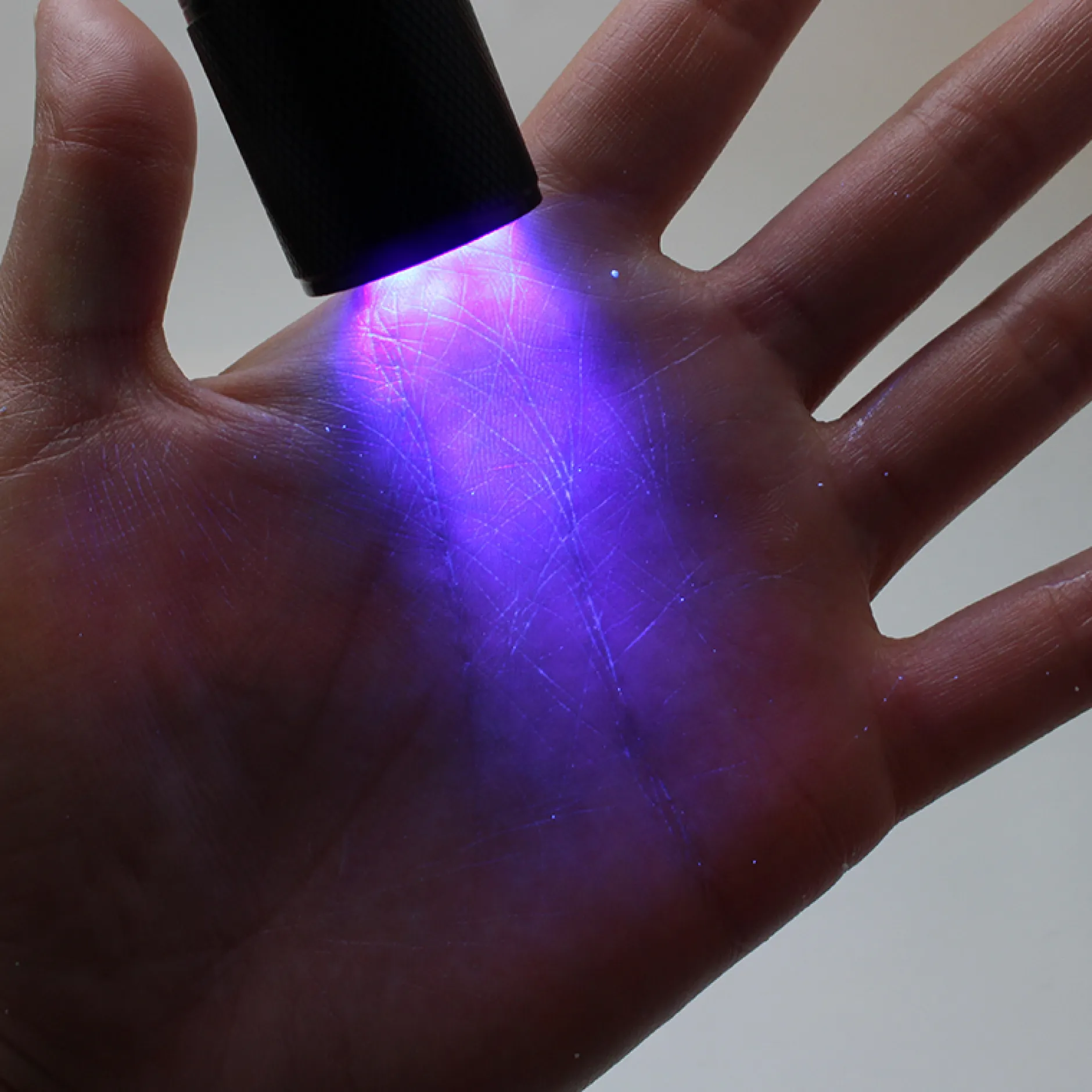 UV-Taschenlampe