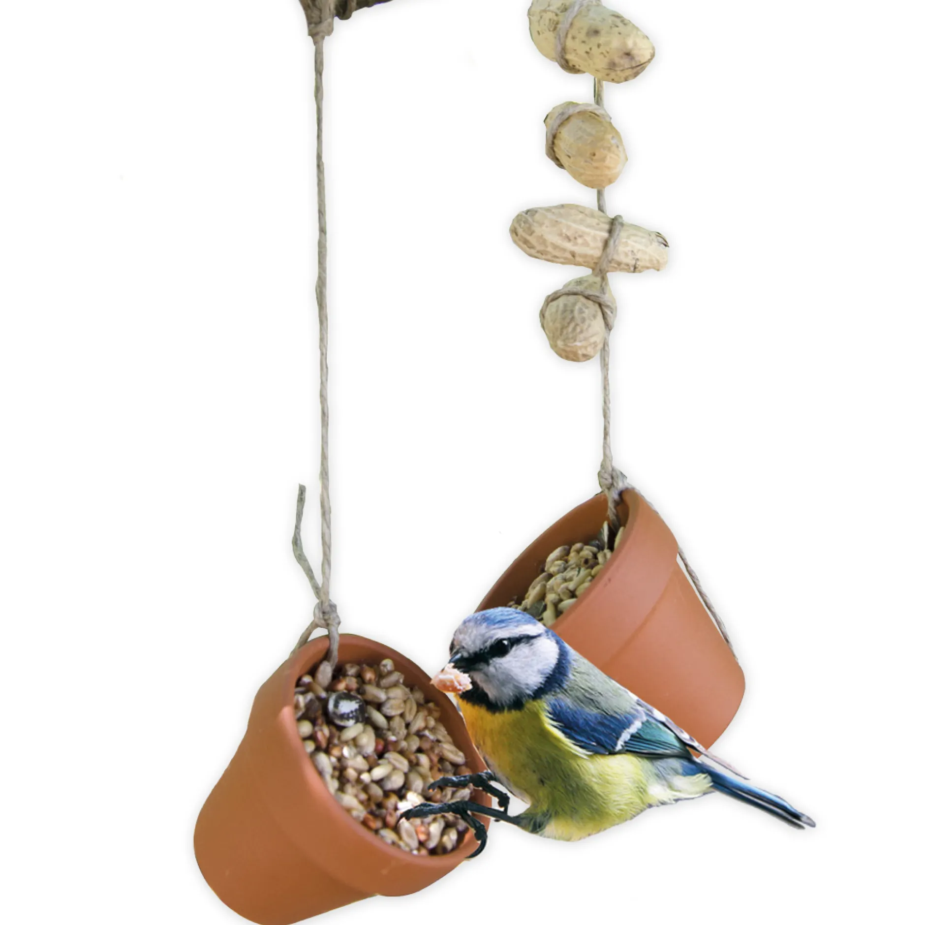 Vogelfutter Bastelset (Klassensatz)