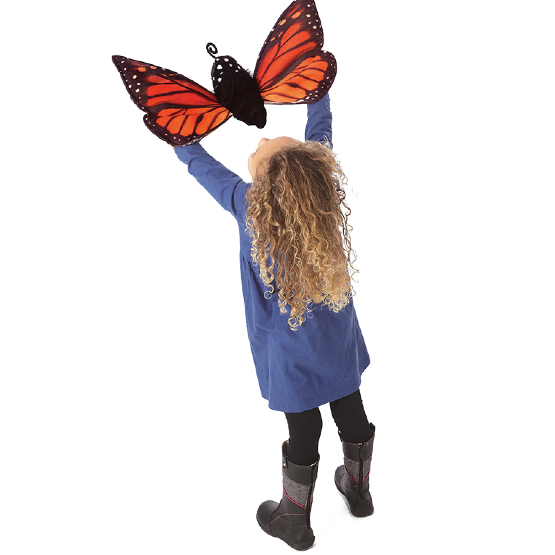 Wendepuppe: Lebenszyklus Schmetterling