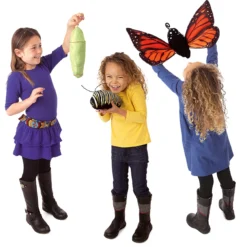 Wendepuppe: Lebenszyklus Schmetterling