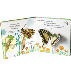 Wie wird die Raupe zum Schmetterling?