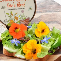Zuchtset Butterbrot-Blüten