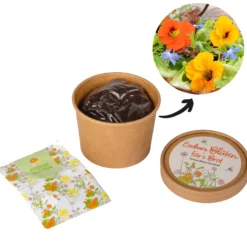 Zuchtset Butterbrot-Blüten